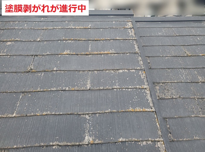 屋根全体　塗膜剥がれ